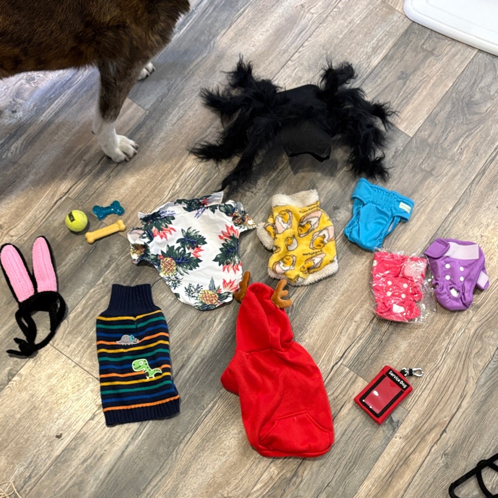 Dog Apparel and Accessories Set